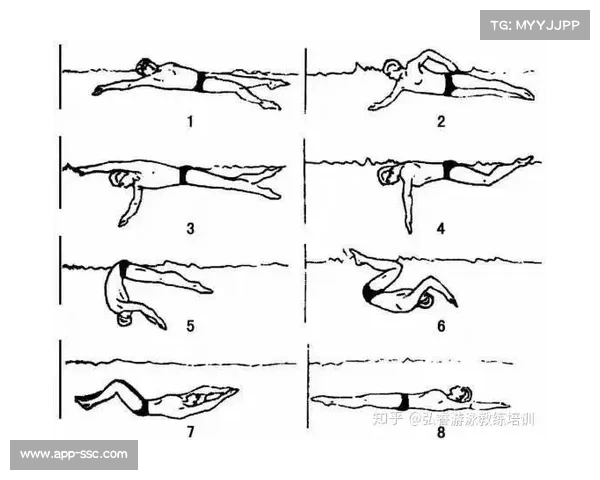 国际泳联修订蝶泳转身规则 强化触壁技术细节与执行规范